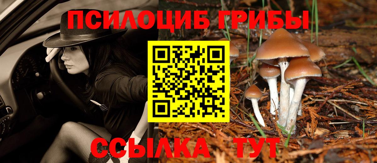 Псилоцибиновые грибы мицелий Ярцево