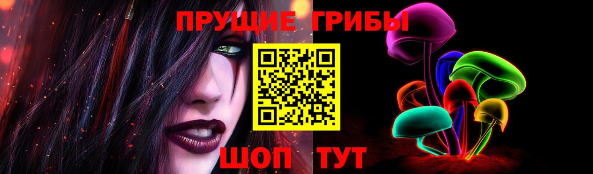 Ярцево  Псилоцибиновые грибы GOLDEN TEACHER  Вход с VPN 